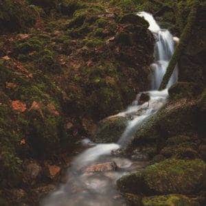 Fototours Schwarzwald Thema Wasserfall